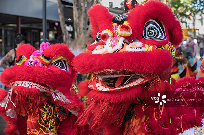 在澳大利亚布里斯班举行的中国新年庆祝活动中舞动的红色中国狮子图片素材
