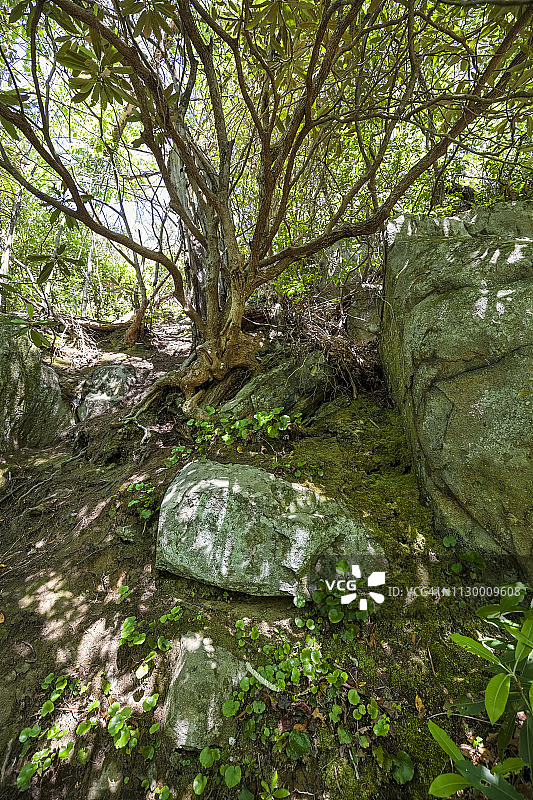 大烟山国家公园图片素材