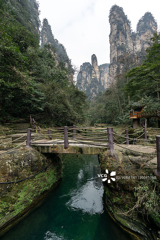 中国张家界金鞭溪图片素材