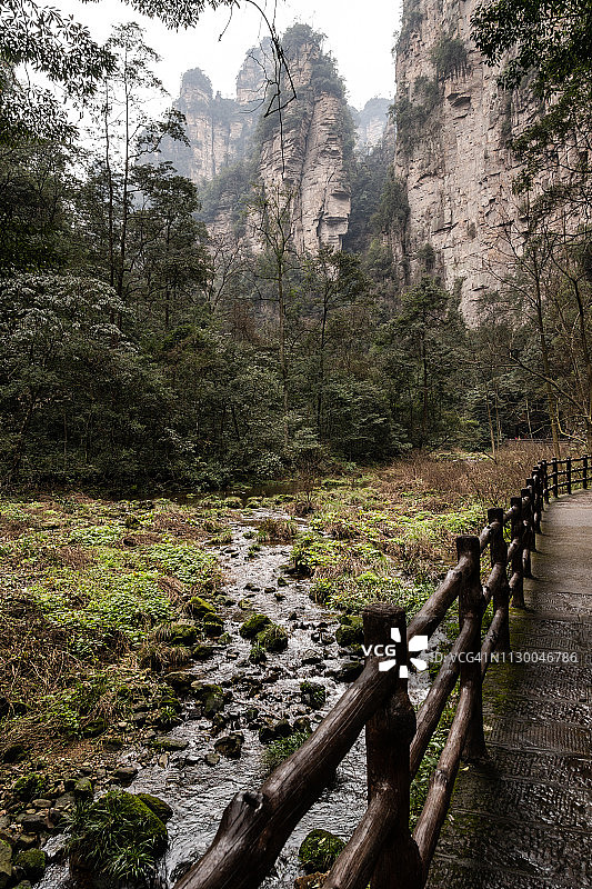 中国张家界金鞭溪图片素材