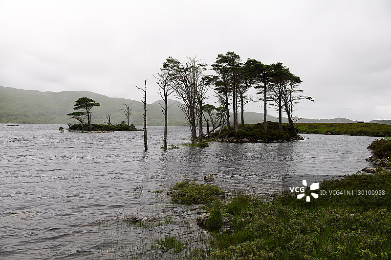阿辛特湖，靠近洛欣弗，苏格兰高地图片素材