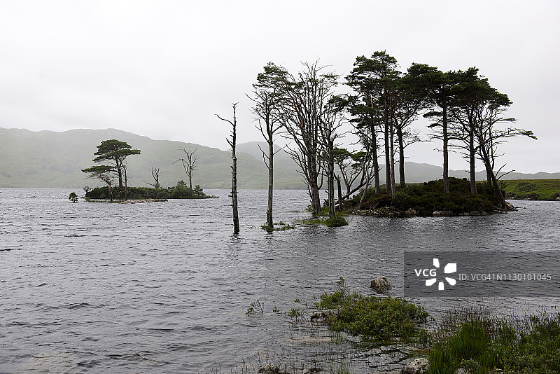 阿辛特湖，靠近洛欣弗，苏格兰高地图片素材