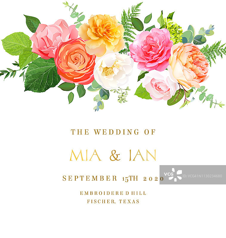 粉色、黄色、紫红色玫瑰、橙色毛茛、朱丽叶花园玫瑰图片素材