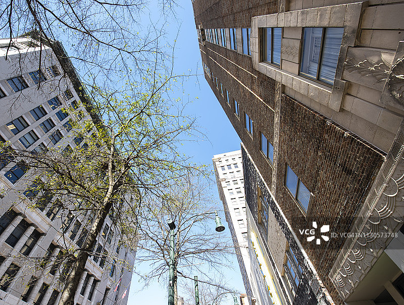 城市中的现代建筑群图片素材