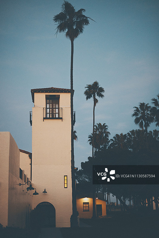 卡布里洛海滩的棕榈树图片素材