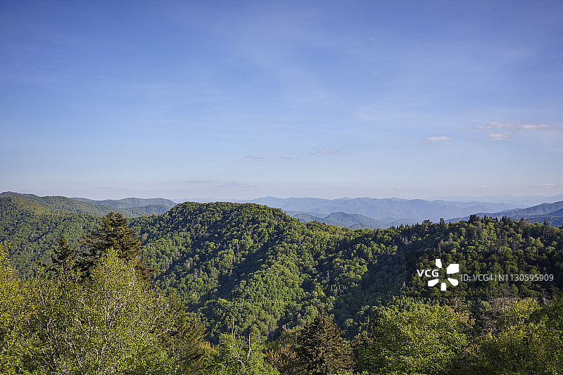 大烟山国家公园图片素材
