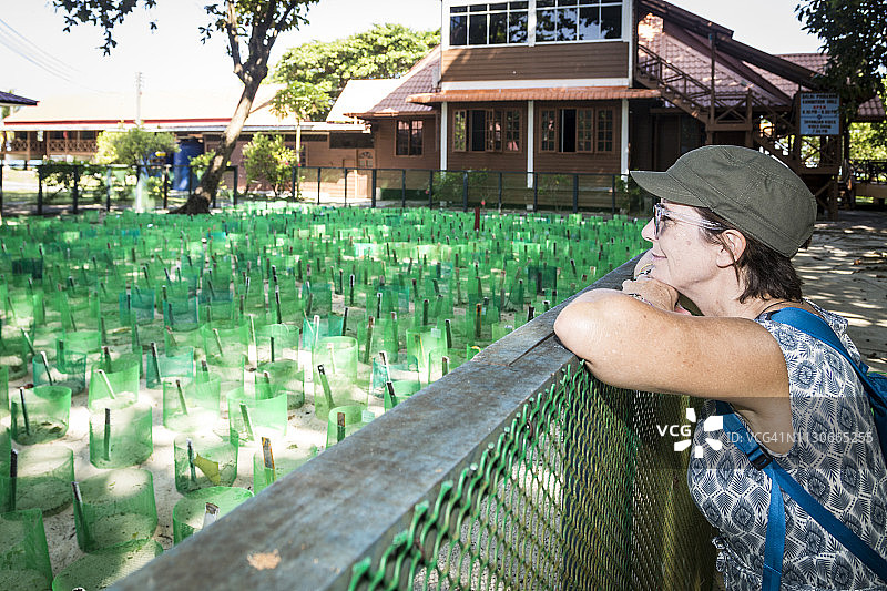 乌龟岛公园图片素材