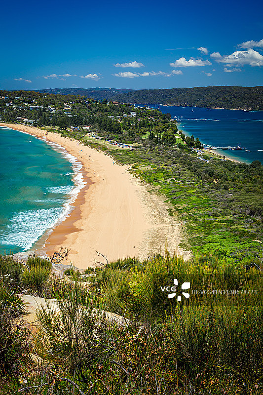 棕榈滩图片素材