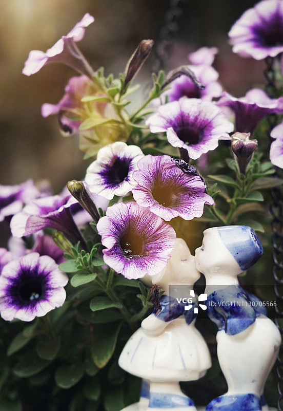 紫色牵牛花中亲吻的两个陶瓷娃娃图片素材