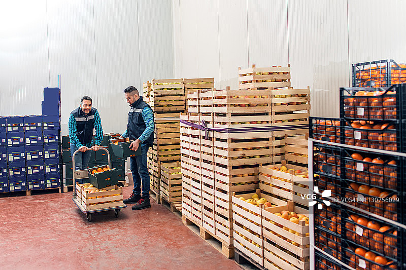 仓库中的新鲜果蔬图片素材