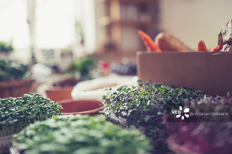 新鲜蔬菜和坚果图片素材