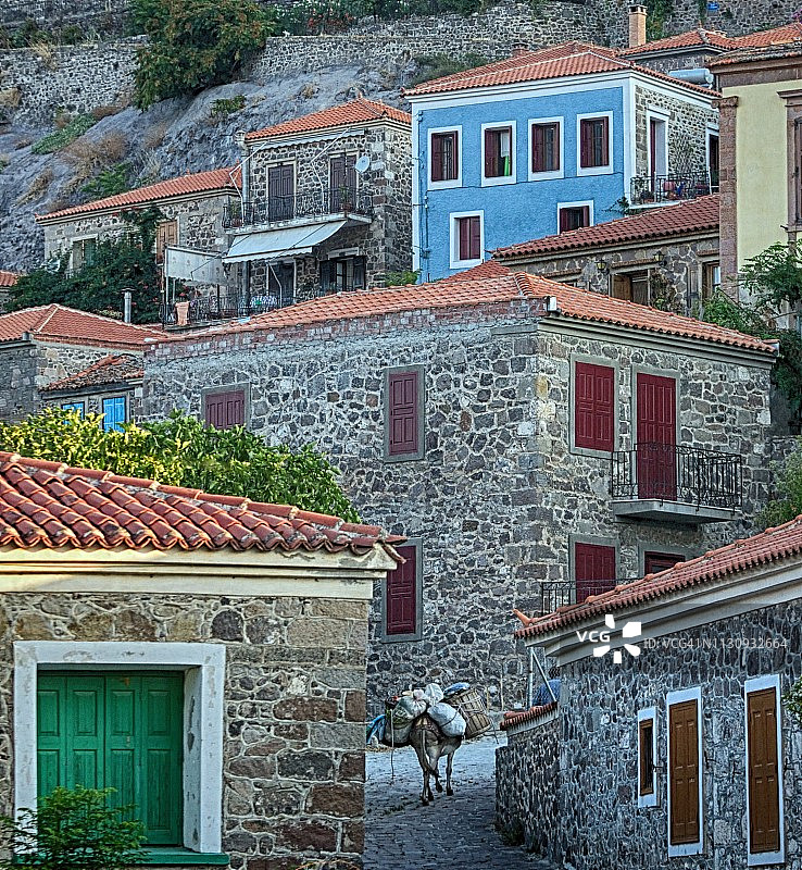 一头驴子攀登莫利沃斯传统居民点图片素材