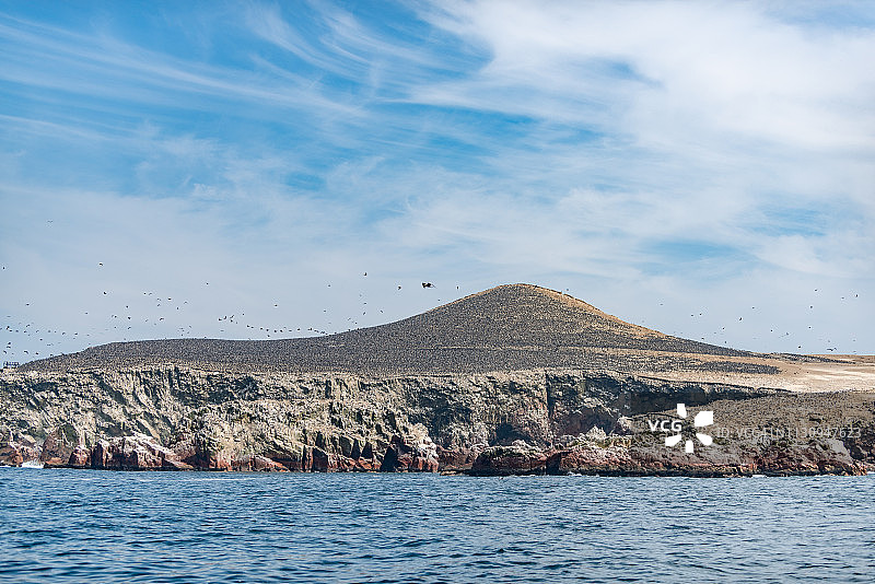 秘鲁巴耶斯塔斯岛国家保护区的南美海鸟图片素材