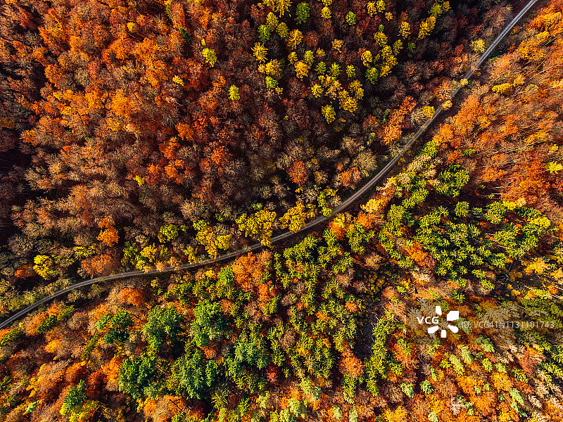 秋日森林航拍公路图片素材