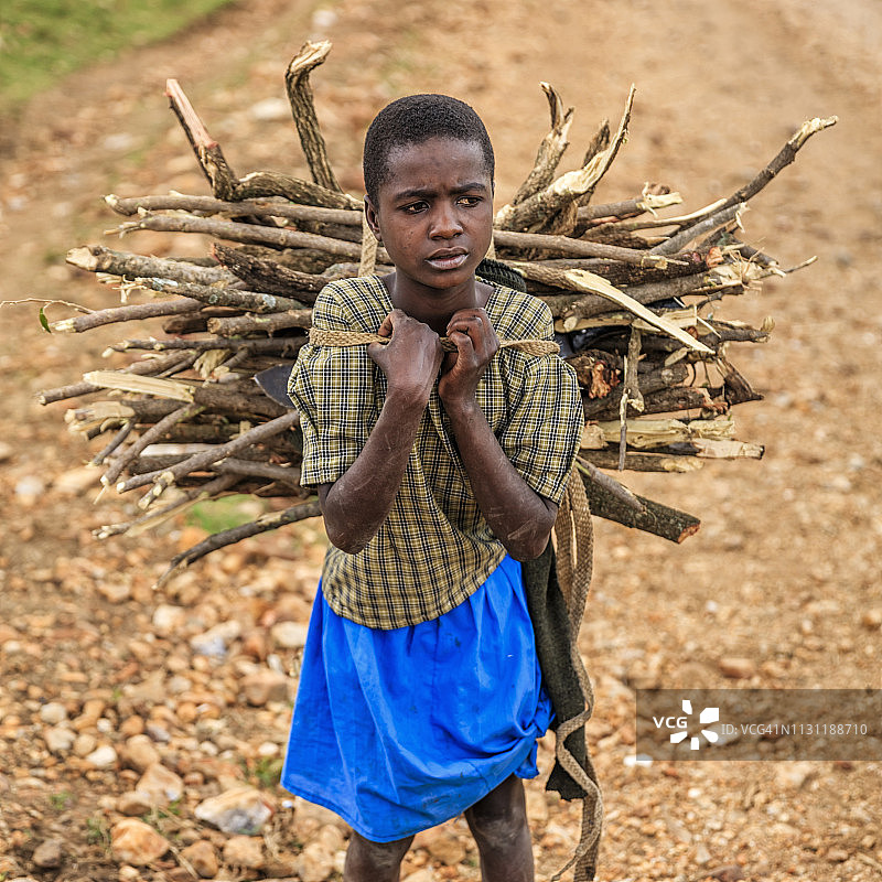 在肯尼亚东部南部携带木柴的年轻非洲女孩图片素材