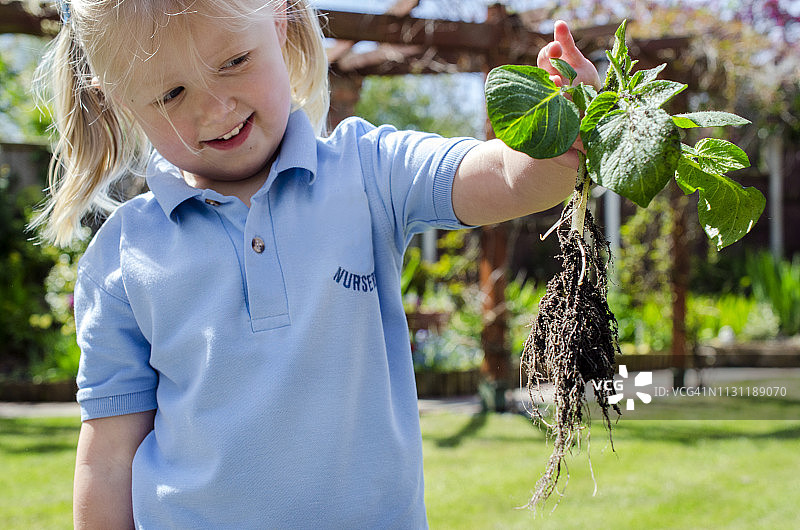 举着土豆植株微笑的快乐年轻女孩图片素材