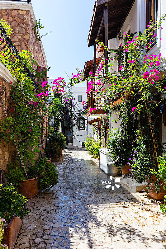 土耳其古镇鲜花绿植点缀的街道美景图片素材