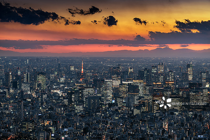 东京天空树夜景图片素材