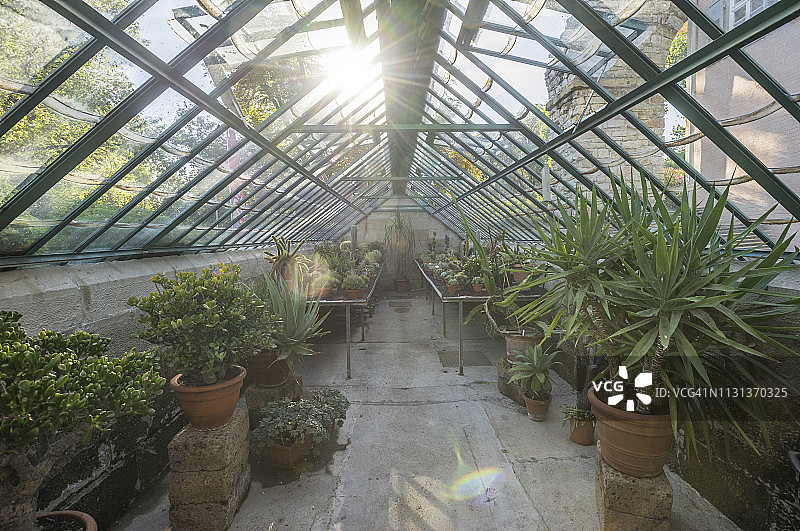 德国巴登-符腾堡州路德维希堡宫药草园温室图片素材