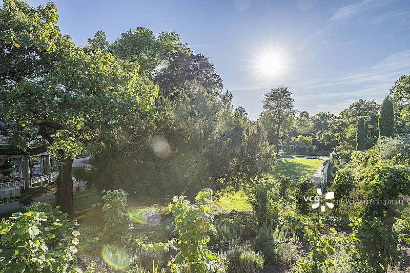 德国巴登-符腾堡州路德维希堡宫旋转木马公园图片素材