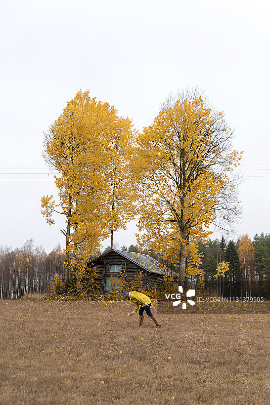 芬兰库奥皮奥身穿黄色雨衣收集秋叶的女子图片素材