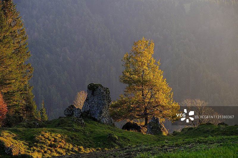 奥地利弗 Nagelfluhkette自然公园，Hittisau附近的Sippersegg图片素材