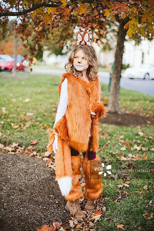 小狐狸女孩图片素材