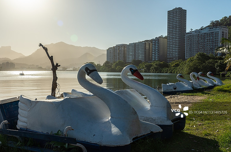 罗德里戈·德·弗雷塔斯湖边，等待游客的白天鹅造型脚踏船图片素材