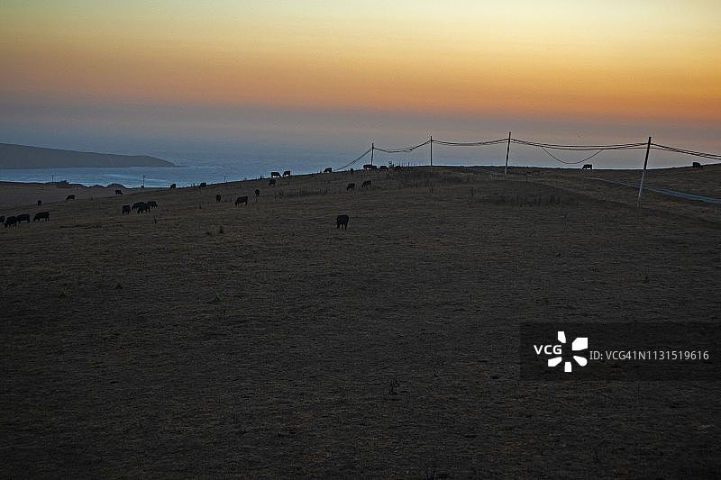 狄龙海滩附近牧场图片素材