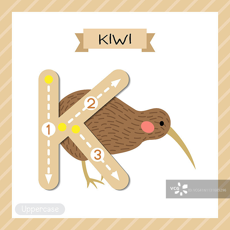 字母K大写描摹：奇异鸟图片素材