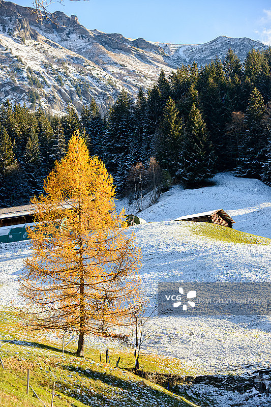 雪后瑞士阿尔卑斯山风光图片素材