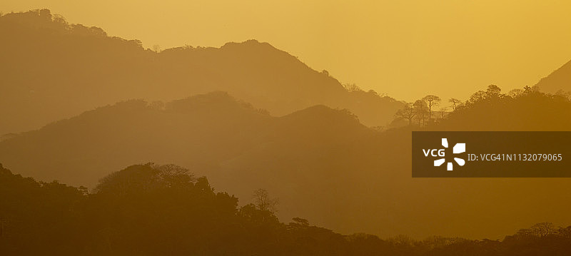 黎明时的雨林图片素材