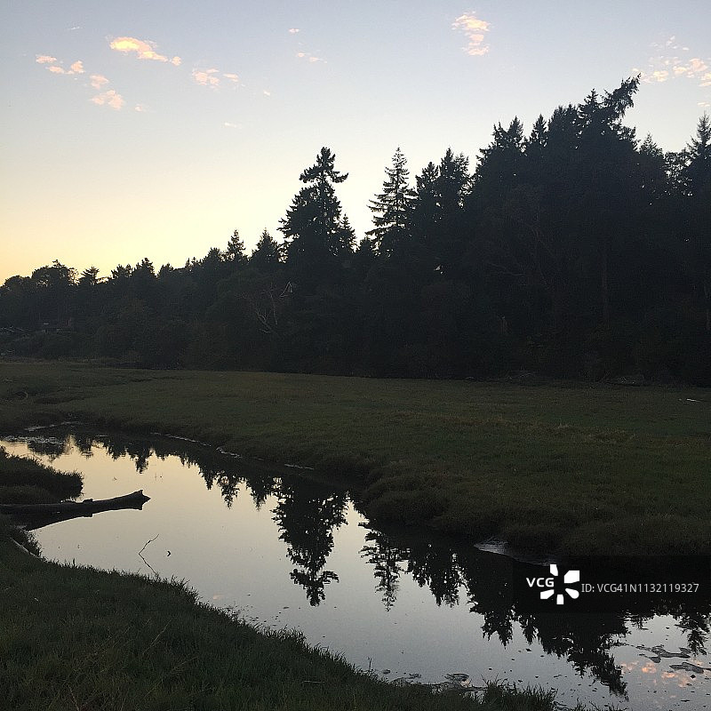 两侧的树木图片素材