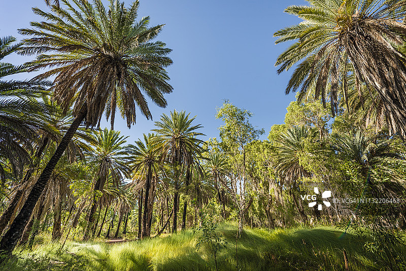 米尔斯特里姆奇切斯特国家公园，澳大利亚西澳大利亚州图片素材