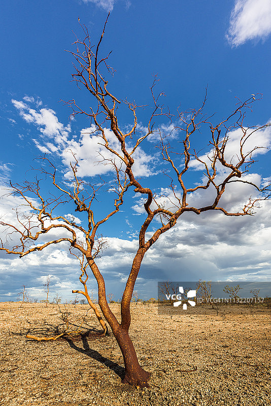 米尔斯特里姆奇切斯特国家公园，澳大利亚西澳大利亚州图片素材