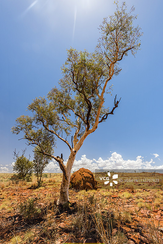 米尔斯特里姆奇切斯特国家公园，澳大利亚西澳大利亚州图片素材