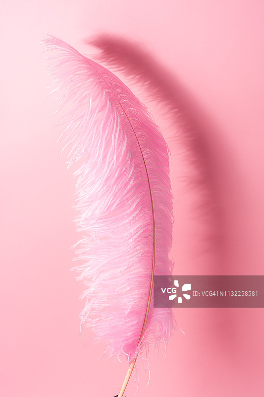 大粉色羽毛图片素材