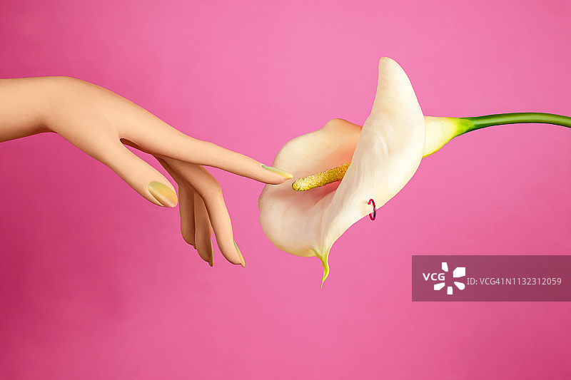 手部触碰马蹄莲图片素材