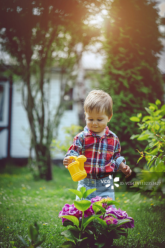 夏天在花园里给植物浇水的可爱快乐的幼儿男孩图片素材