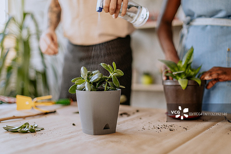 情侣在花店里浇花图片素材