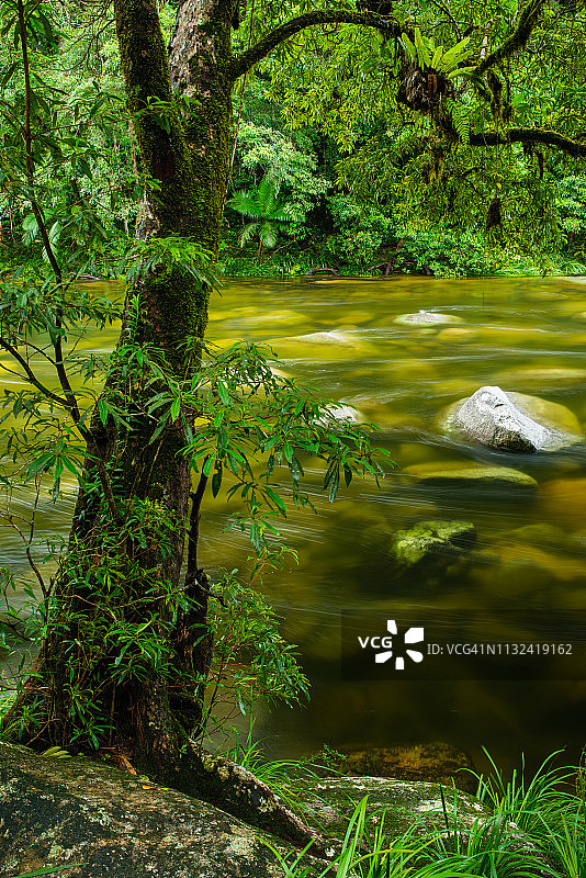 澳大利亚昆士兰州丹特里国家公园的莫斯曼峡谷图片素材