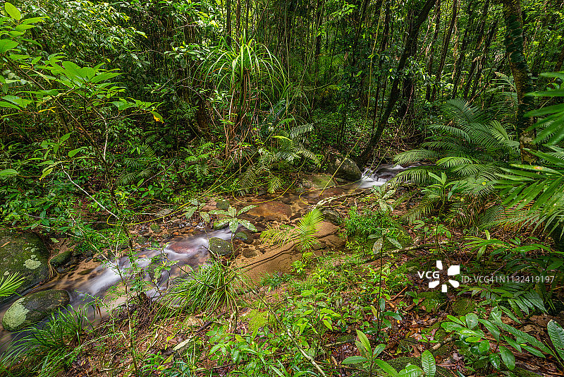 澳大利亚昆士兰州丹特里国家公园的莫斯曼峡谷图片素材