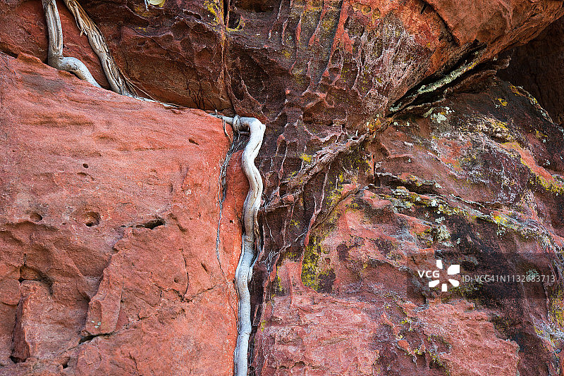 澳大利亚北部地区利门国家公园图片素材
