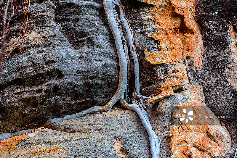 澳大利亚北部地区利门国家公园图片素材