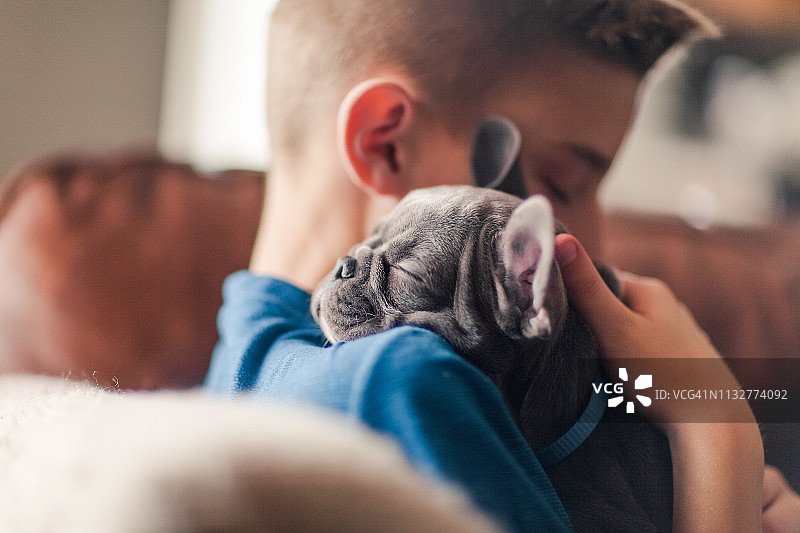 男孩坐在沙发上拥抱法国斗牛犬幼犬图片素材