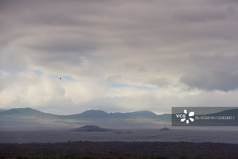 加拉帕戈斯高地景观图片素材