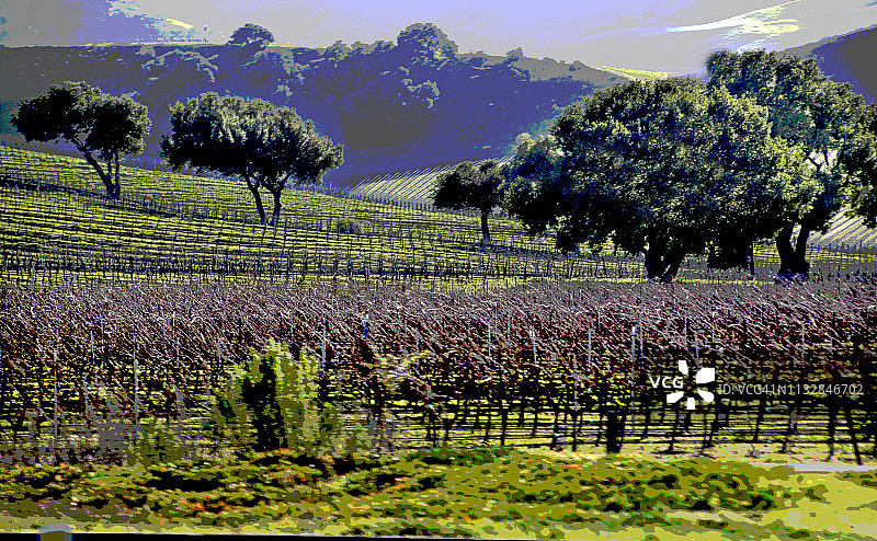 圣玛丽亚葡萄酒产区图片素材
