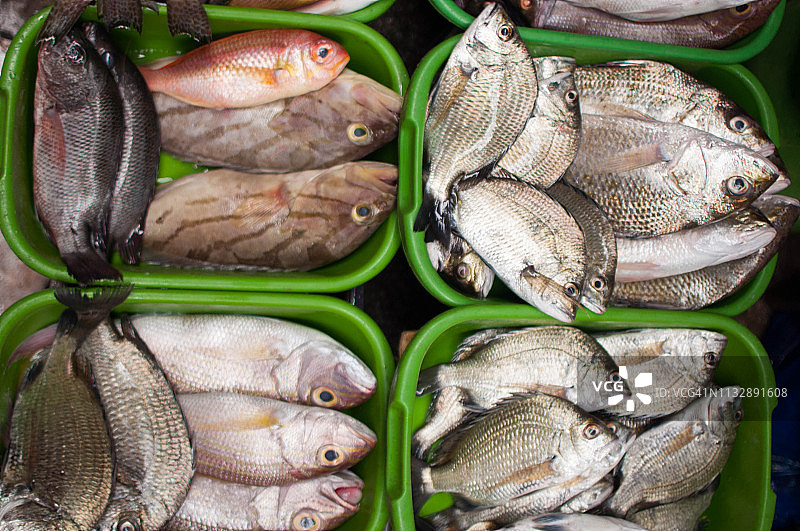 市场上新鲜捕获的鱼图片素材
