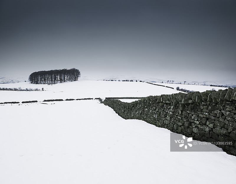 英国兰开夏郡鲍兰森林的雪景，有石头墙图片素材
