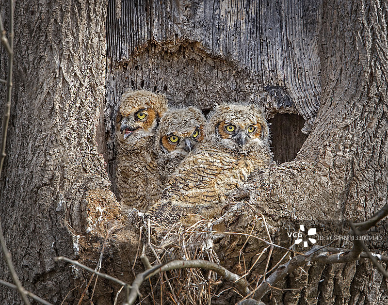 三个朋友图片素材